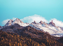 开云官方直播：把全球好物带到你的客厅